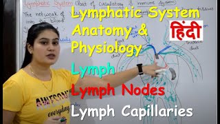 Lymphatic System in Hindi  Lymph  Lymph Nodes  Lymph Vessels  Anatomy amp Physiology [upl. by Lupien]