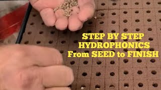 Hydroponic Seed to Finish STEP BY STEP [upl. by Villada]