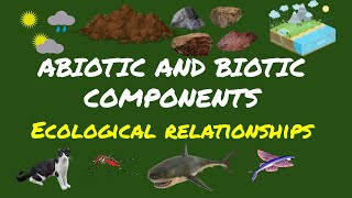 Biotic amp Abiotic Component Ecological Relationships for Grade 7 [upl. by Babara]