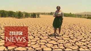 Worst drought in 30 years hits Sout Africa  BBC News [upl. by Malda]