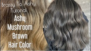 Brassy To Ashy Tutorial  Ashy MUSHROOM Brown Hair Color [upl. by Shiri]