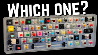 How to Choose the Perfect Switch For YOU [upl. by Arikal]