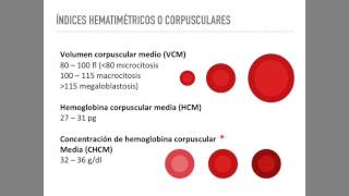 Biometría hemática Serie roja [upl. by Lindbom90]