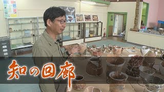 知の回廊 第123回「発掘で探る縄文文化 先史日本の暮らし」 [upl. by Baumann]