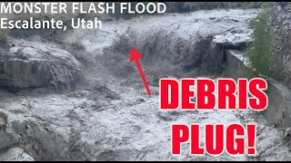 INTENSE FLASH FLOOD with debris plug intercepted by Dominator Drone in Escalante Utah [upl. by Blondy212]