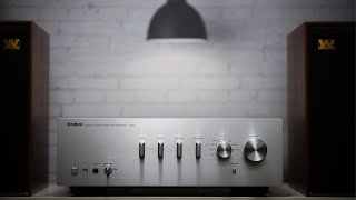 Yamaha AS501 Review     Simple amp Sweet [upl. by Egamlat632]