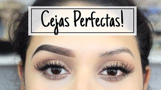 Como Hago mis Cejas FACIL y Paso a Paso [upl. by Kyla499]