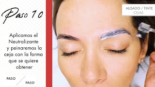 Especial tinte de cejas paso a paso tutorial – Thuya Professional [upl. by Neelyhtak]