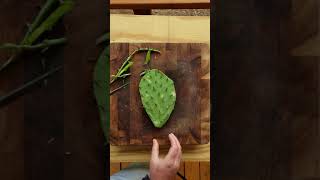 How to Clean Nopales [upl. by Winstonn]