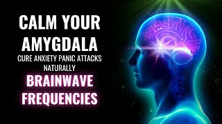 Calm Your Amygdala  Cure Anxiety Panic Attacks Naturally  Brainwave Frequencies  Amygdala Music [upl. by Lletram]