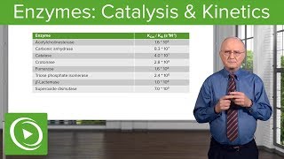 Enzymes Catalysis Kinetics amp Classification – Biochemistry  Lecturio [upl. by Sabine547]