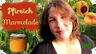 Pfirsich Marmelade 🍑 herstellen  Pfirsich Ernte [upl. by Baun]