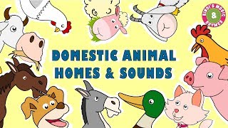 Domestic Animal Homes amp Sounds  Educational Rhymes  Nursery Rhymes for Children [upl. by Tiffy]