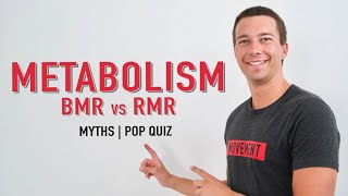 Metabolic Rate Explained  BMR vs RMR [upl. by Carlson]