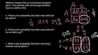 Albinism and law of probability [upl. by Cacilie]