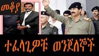 Mekoya  ተፈላጊዎቹ ወንጀለኞች  መቆያ በእሸቴ አሰፋ [upl. by Austen]