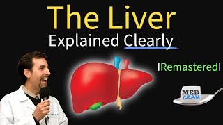 Liver Explained Function Pathology Diseases amp Cirrhosis [upl. by Nanine]