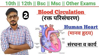 Human Heart Structure And Function In Hindi  Blood Circulation  By Dadhich Sir [upl. by Aramot]