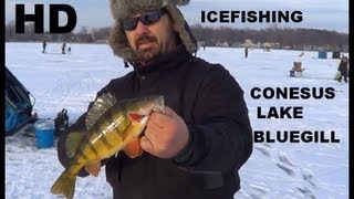 ICE FISHING CONESUS LAKE BLUEGILL [upl. by Ivonne]