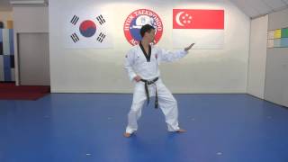 Green Belt Pattern by Hyun TKD Academy [upl. by Edlitam]