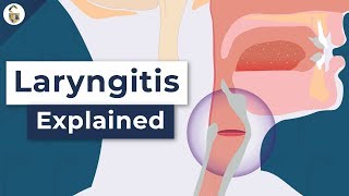 Why Do You Lose Your Voice  Laryngitis Explained [upl. by Luanne]