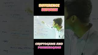 DIFFERENCE BETWEEN CRYPTOGAMS AND PHANEROGAMS [upl. by Karolyn]