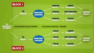 Types of Experimental Designs 33 [upl. by Sukramal]