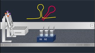 Northern Blot Method  Animated Video [upl. by Fields]