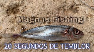 PESCA EN ACANTILADOS 2021🇪🇸Magnus Fishing [upl. by Ranson263]