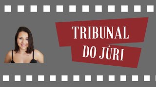 Tribunal do Júri ATUALIZADO COM O PACOTE ANTICRIME  LEI 1396419 [upl. by Aliemaj]