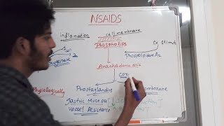 NSAIDs Pharmacology [upl. by Kcirttap]