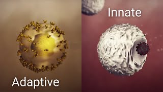 How your immune system works [upl. by Ojyllek]