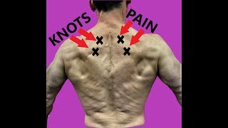 Rhomboid Pain Relief Exercises To Fix Your Upper Back [upl. by Akimot859]