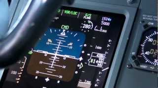 Boeing 737 ILS CAT IIIa Autoland  PFD View [upl. by Nylak167]