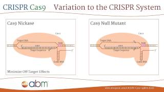 The Science of CRISPR [upl. by Assilav]