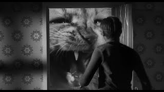 The Incredible Shrinking Man 1957  Cat Scene [upl. by Lucania]