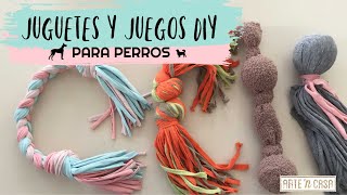 DIY juguetes y juegos para perros [upl. by Nelloc]