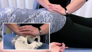 Back Pain Relief Exercises amp Stretches  Ask Doctor Jo [upl. by Duester868]