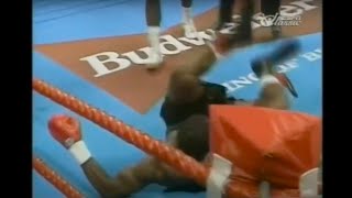 Lennox Lewis first loss  knockout  Lewis  McCall [upl. by Froemming]