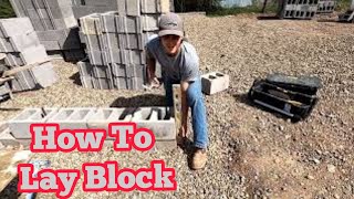 How to Lay Block Walls For Beginners [upl. by Caren]