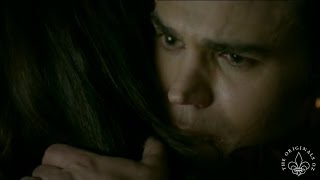 TVD 8x16 FINAL Stefan sacrificed himself Stefan says goodbye to Elena Stefan finds peace with Lexi [upl. by Landy]