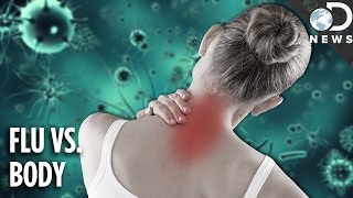 Why The Flu Causes Aches amp Pains [upl. by Tami]