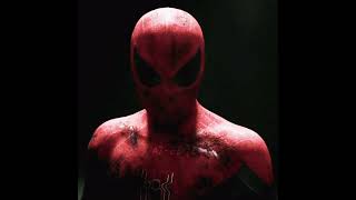 SpiderMan quotcome on Peter tinglequot edit fypシ゚ viralvideo 🔥🔥🔥 [upl. by Ennoval]