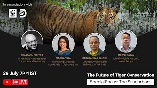 The Future of Tigers in Sundarbans [upl. by Eniac138]