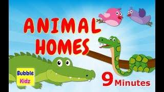 Learn About Different Animal Names And Homes  Animal Names And Homes For Kids [upl. by Boykins]