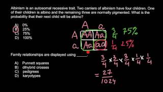 Genetic probability of albinism [upl. by Jakob675]