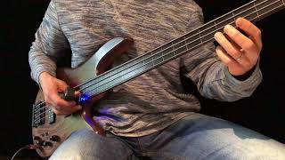 Meditative Fretless Bass Solo with Ebow  Walking White Shores [upl. by Toy]