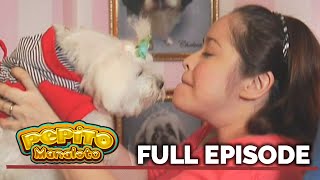 Pepito Manaloto The Manalotos new fur babies  Full Episode 18 [upl. by Maurene820]