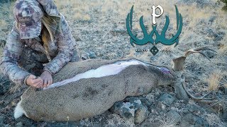 The Gutless Field Dressing Method with Kristy Titus [upl. by Ailiec]