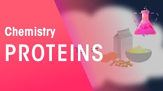 Proteins  Organic Chemistry  Chemistry  FuseSchool [upl. by Edd]